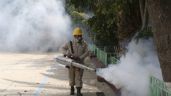 Oaxaca, séptimo lugar a nivel nacional con 709 casos confirmados de dengue, ya son tres defunciones