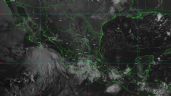 Tormenta tropical Eugene provocará lluvias muy fuertes en Colima, Baja California Sur y Jalisco