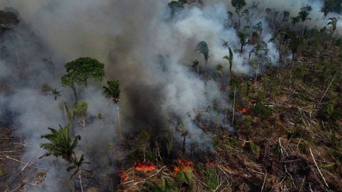 Los gobiernos se reúnen para hablar sobre la Amazonía. ¿Por qué es tan importante protegerla?