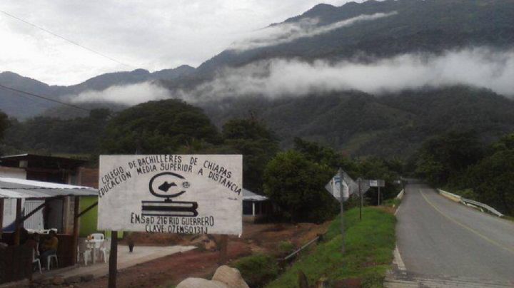 Hallan muerta a la maestra Berni Flor Mejía, sustraída de un colegio de Bachilleres en Chiapas