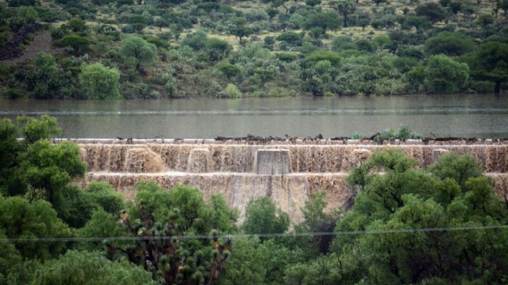 Sequía en México: Conagua reporta almacenamiento en presas a la mitad de su capacidad