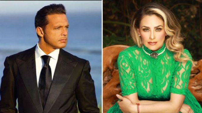 Luis Miguel es un deudor alimentario y me cae muy mal: Aracely Arámbula