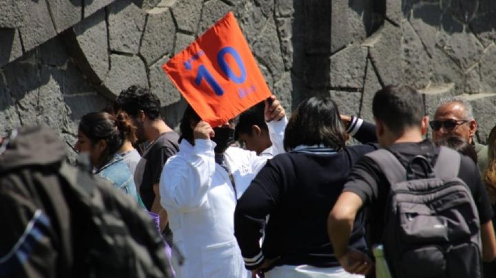 Padecen por el sol, las abejas y el hambre en el simulacro por el 19S en la UNAM (Video)