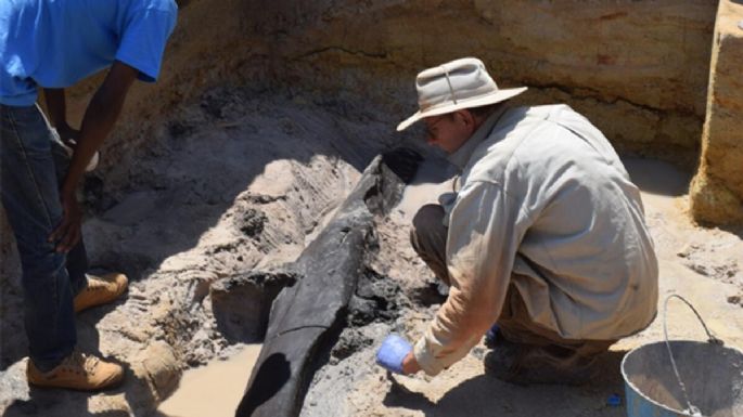 Esta simple estructura de troncos puede ser el ejemplo más antiguo de construcción humana con madera