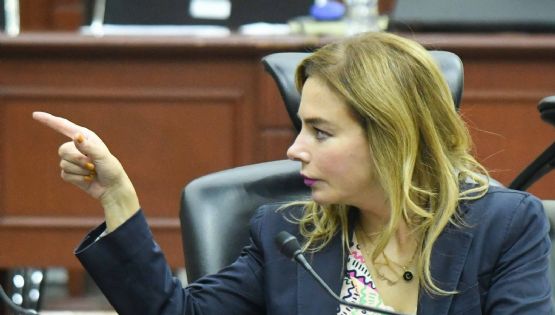 Carla Humphrey pide cuidar la confidencialidad del padrón del INE ante reforma de datos biométricos