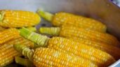 Europa autoriza tres variedades de maíz transgénico como alimento humano, pero no como cultivo
