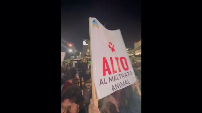 Colectivos y activistas cierran calles de Puebla en demanda de acciones contra el maltrato animal