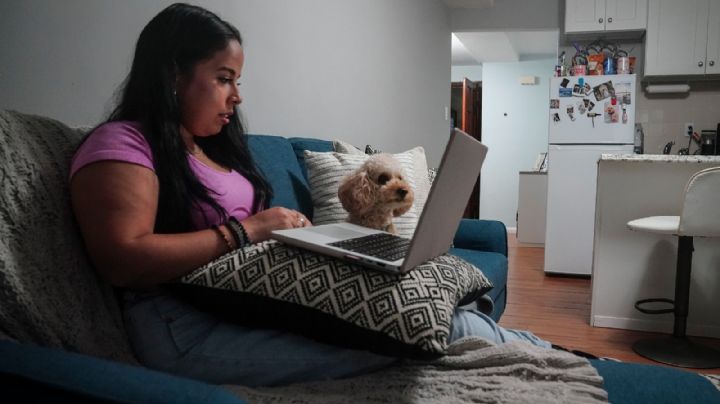 Las mascotas son nuestras compañeras fieles, pero los costos de sus cuidados se pueden acumular