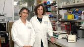 Desarrollan en la UNAM molécula contra el cáncer de mama