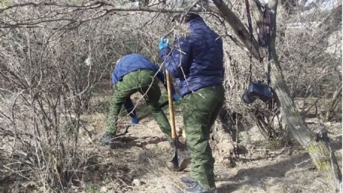 Hallan 10 cadáveres en fosa clandestina de Luis Moya, Zacatecas