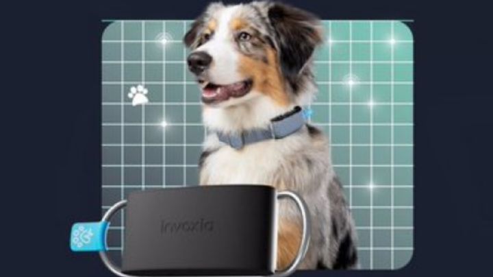 Rastreadores para collar, puertas y comederos inteligentes: las novedades tecnológicas para mascotas en CES 2024