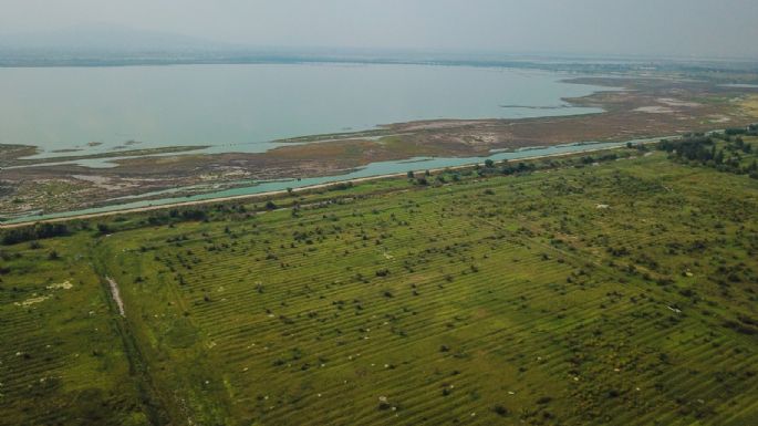 Desdén ambiental: Apenas 10 pesos por hectárea para las Áreas Naturales Protegidas