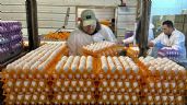 Alcocer niega muerte por gripe aviar en México: “comunicado de OMS es bastante malo”