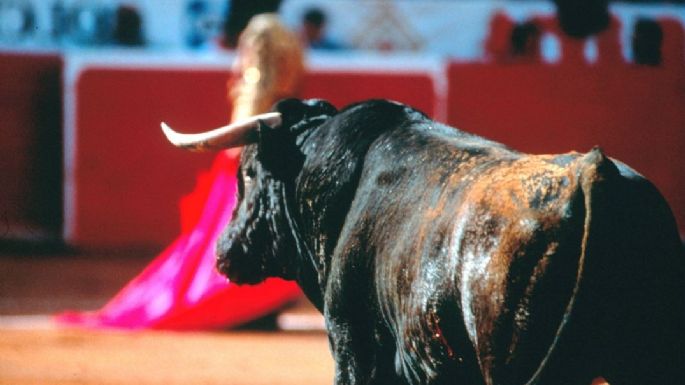 Aún en litigio, vuelven las corridas de toros a la Plaza México