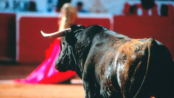 Aún en litigio, vuelven las corridas de toros a la Plaza México