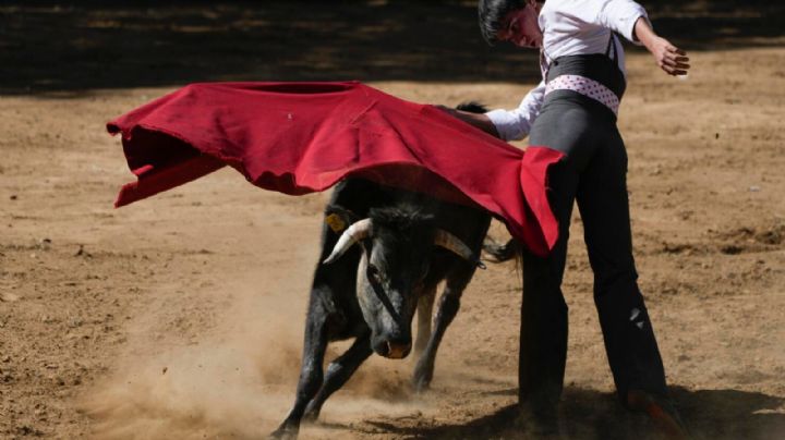 Defensores de corridas se acercan a jóvenes para sumar nuevos seguidores a la tauromaquia en México