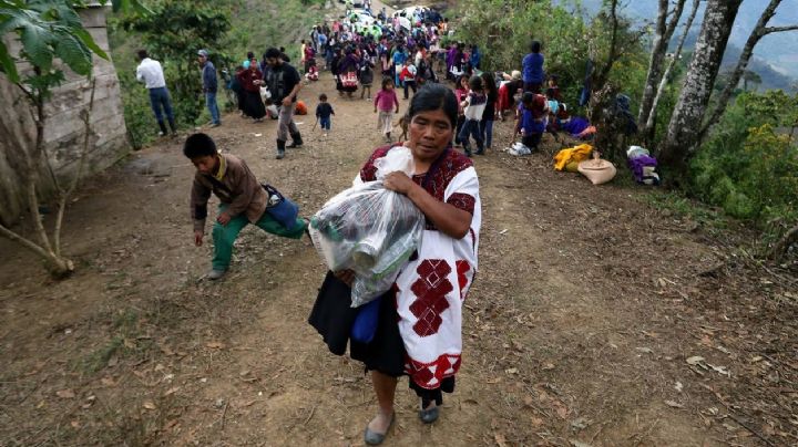 Disputas entre criminales y la guerra contra comunidades de Chiapas afectan a más de 100 mil menores