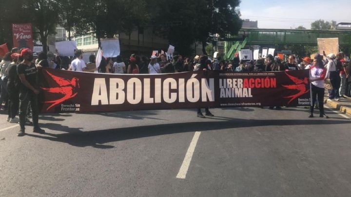 Activistas protestan afuera de la Plaza México por el regreso de las corridas de toros