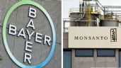 Se prepara “albazo” jurídico a favor de la trasnacional Bayer-Monsanto, alerta Sin Maíz No Hay País