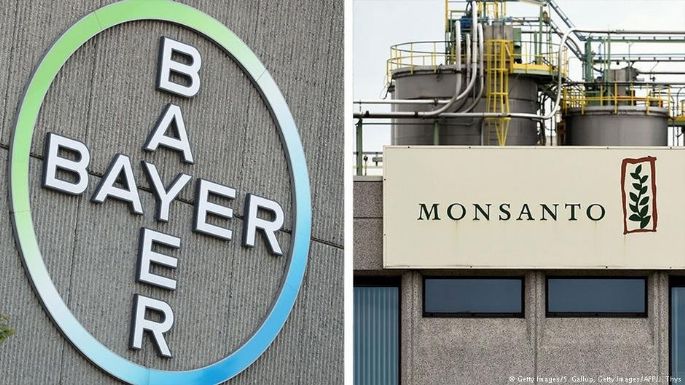 Se prepara “albazo” jurídico a favor de la trasnacional Bayer-Monsanto, alerta Sin Maíz No Hay País