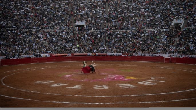 Jueza ordena la suspensión inmediata de corridas de toros en la Plaza México