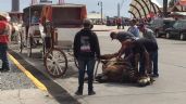 Por maltrato animal, prohibirán calandrias jaladas por caballos en BC (Video)