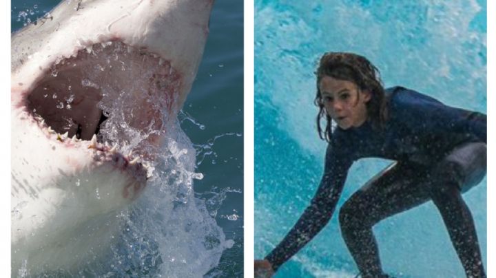 Surfista australiano Khai Cowley murió tras ser atacado por un tiburón