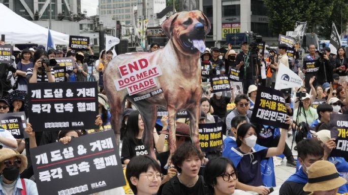 Corea del Sur veta la producción y venta de carne de perro