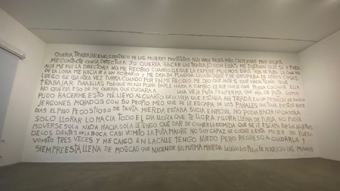 El MUAC retira obras de la artista Ana Gallardo tras controversia y pide disculpas