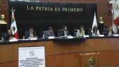 En Parlamento Abierto, ONG cuestionan la reelección de Rosario Piedra Ibarra en la CNDH