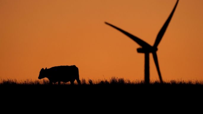 El mundo se enfila a olas de calor más graves, incendios forestales, tormentas y sequías