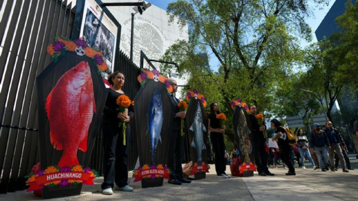 Oceana México protesta frente al Senado contra abandono del sector pesquero