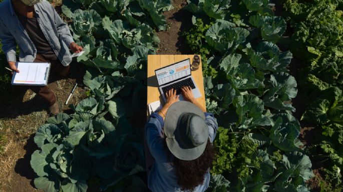 Llegan las nuevas MacBook Pro con chips M4; ¿cuánto costarán en México? (Video)