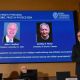 Dos pioneros de la inteligencia artificial ganan el Nobel de Física