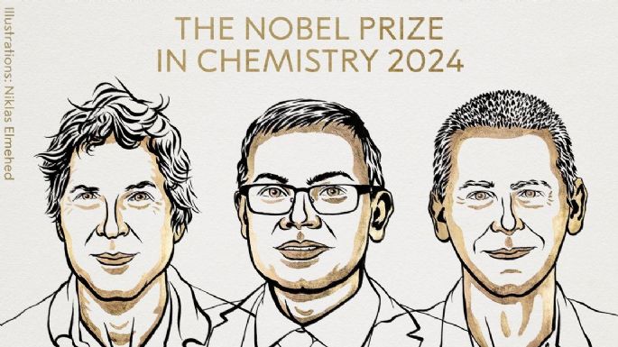 Nobel de Química para tres científicos por su trabajo en proteínas