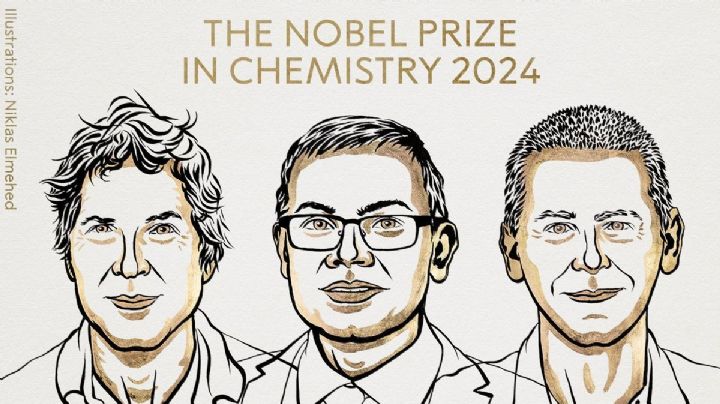 Nobel de Química para tres científicos por su trabajo en proteínas