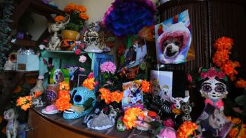 Que nadie se olvide de sus mascotas: altares del Día de Muertos en México también honran a animales