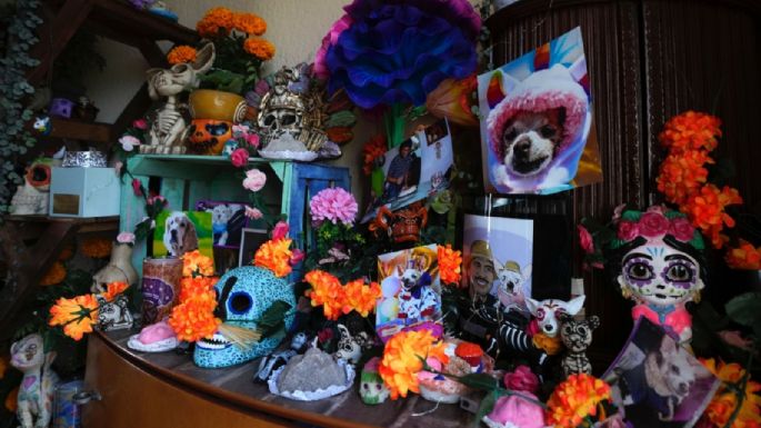 Que nadie se olvide de sus mascotas: altares del Día de Muertos en México también honran a animales