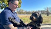 Veteranos de guerra con estrés postraumático mejoran gracias al programa de perros de asistencia