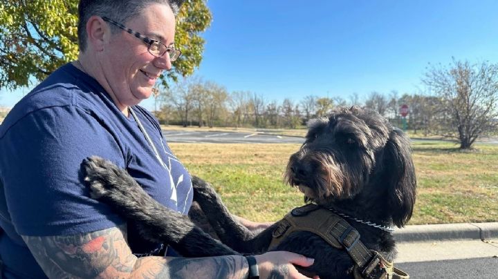 Veteranos de guerra con estrés postraumático mejoran gracias al programa de perros de asistencia