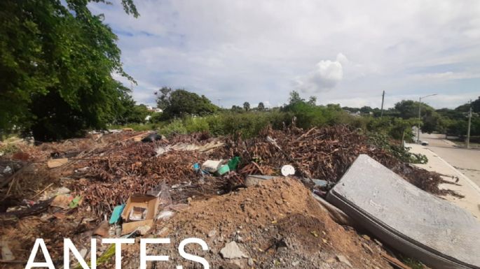 Rescata la PAUT predio en Tampico tras retiro de escombros y desechos