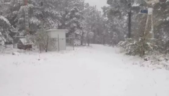 Tormenta invernal en Chihuahua deja daños en servicios básicos (Videos)