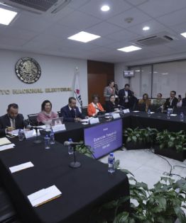 El INE pide aplazar la elección de jueces y magistrados