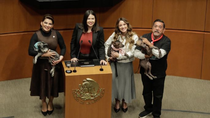 El Senado aprueba por unanimidad la reforma para la protección de animales