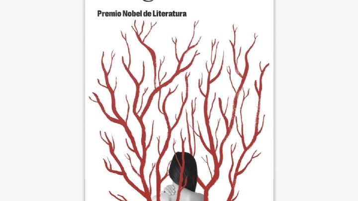 Libros/Recuento de letras: Han Kang, Nobel de Literatura 2024