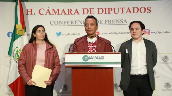 Diputado morenista acusa a alcalde de Benito Juárez de intentar privatizar los parques