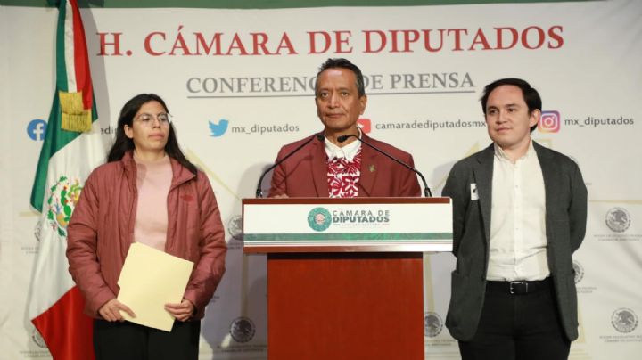 Diputado morenista acusa a alcalde de Benito Juárez de intentar privatizar los parques