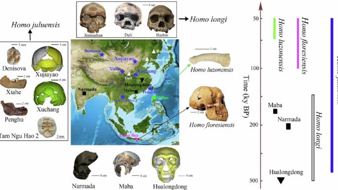 Posible nueva especie humana revelada en Asia