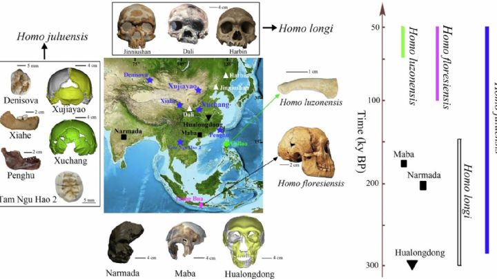 Posible nueva especie humana revelada en Asia