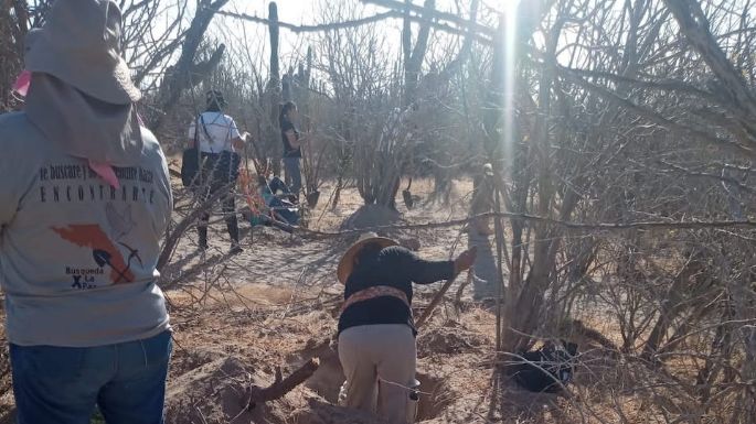 Hallan nueve fosas con restos de 14 cadáveres en Baja California Sur